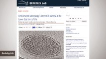 Images Showcase The Smallest Known Life Forms