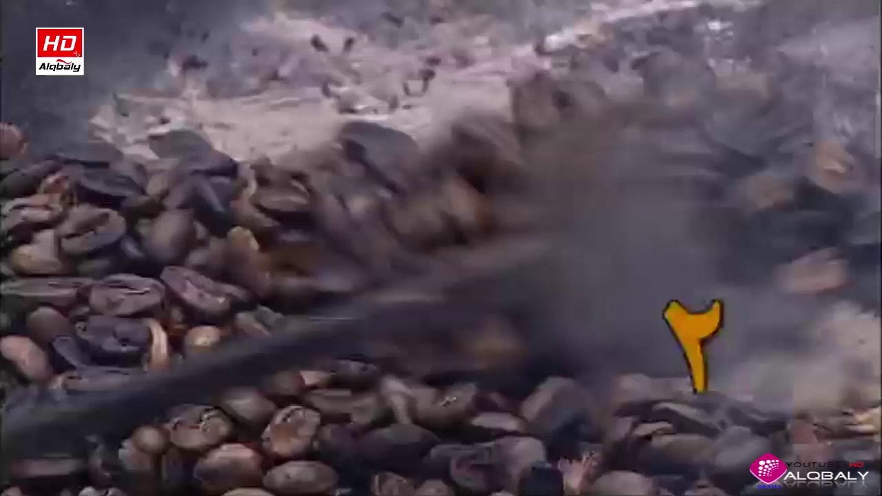 مسلسل اخر الفرسان الحلقة 2 جودة عالية