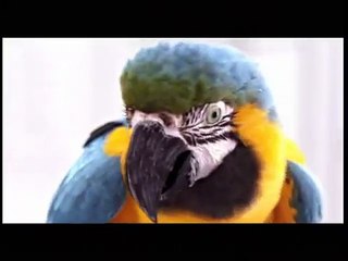 Sửa Máy Giặt  tại Dịch Vọng 0986687668