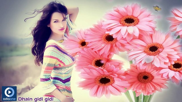 Odia Romantic Album Miss Tame Chanchi Daucha | Dhain Gidi Gidi Full Song | Odia Album Songs