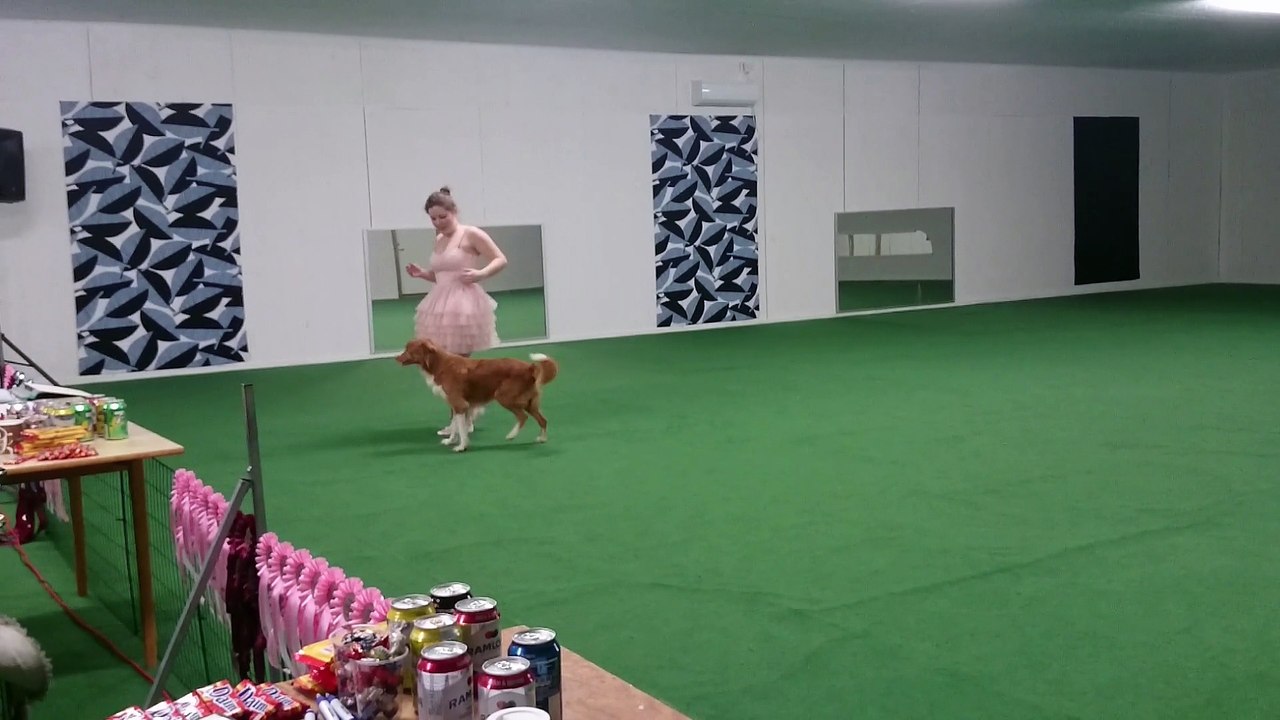 MOV_0753.mp4