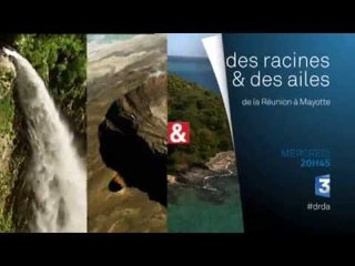 DRDA : De la Réunion à Mayotte – Bande-annonce