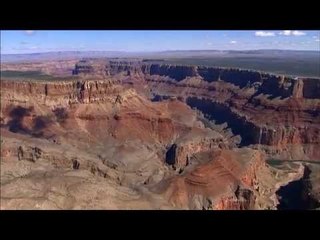 DRDA : Les wapitis du Grand Canyon