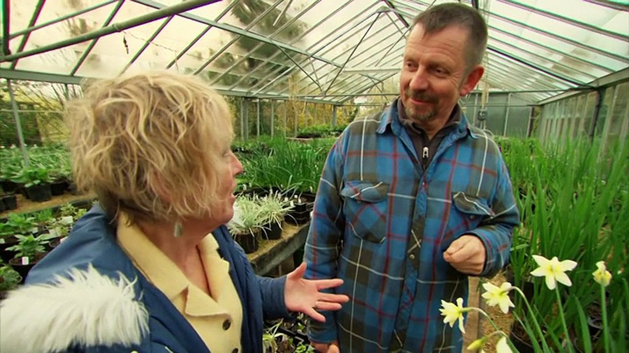 GBGR Daffodils and Blossom Trees & Shrubs