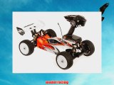 Serpent Electric 811 Cobra 8th Scale Off-road Buggy RTR