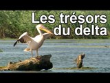 DRDA : Les trésors du delta