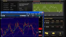 Binary Options Trading Signals Copy a Live Trader in Action