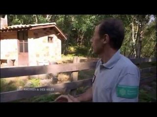 DRDA : Gemmeurs et résiniers