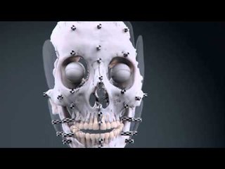 DRDA - Portrait 3D d'Agnès Sorel