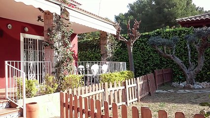 Particulier Vend jolie villa avec piscine à SITGES / SANT PERE DE RIBES  395000€