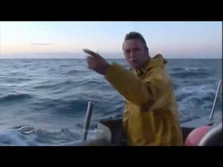 Pêcheurs de l'extrême au Raz Blanchard - Cotentin, la force de la mer - Thalassa (extrait)