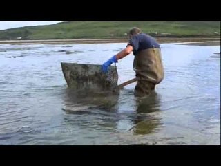 A la conquête de l'Ouest (extrait) - Thalassa