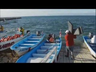 Plongée en basse Californie (extrait1) Thalassa