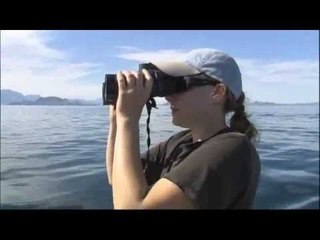 Diane et les baleines (extrait2) Thalassa