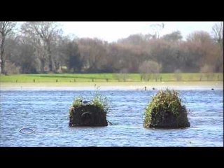 Chasseurs d'images - Cotentin, la force de la mer - Thalassa (extrait)