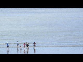 Vacances en estuaire - Thalassa (extrait)