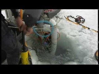 Au nom de l'or (extrait) - Thalassa