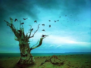 هيام و غرام - كارم محمود