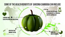 How to Lose Weight Fast - Weight Loss Pills and Tips - Garcinia Cambogia [FREE TRIAL]