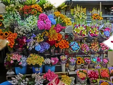 Fresh Flowers delivered | Flowers Delivery 4 U | Southall, Middlesex,UK