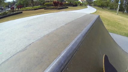 The Skateboarding Cat