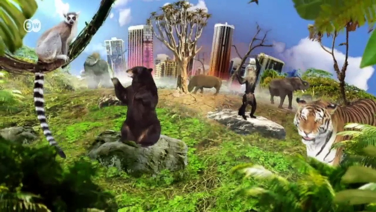 Kambodscha - kampf gegen tierhandel | global 3000