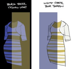 reason behind The collour changing Dress According To Science