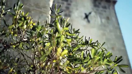 Klapa Rišpet - Fališ mi  - 2015 (OFFICIAL VIDEO)