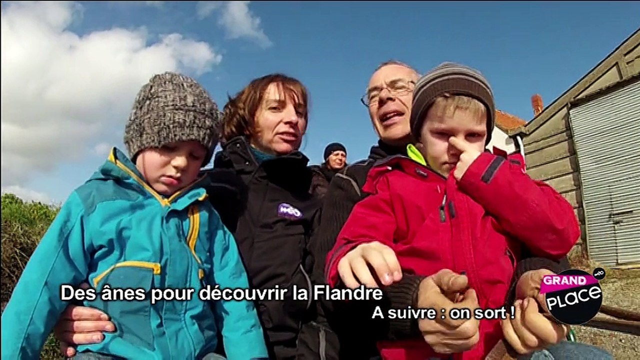 Découvrir la Flandre à dos d'âne