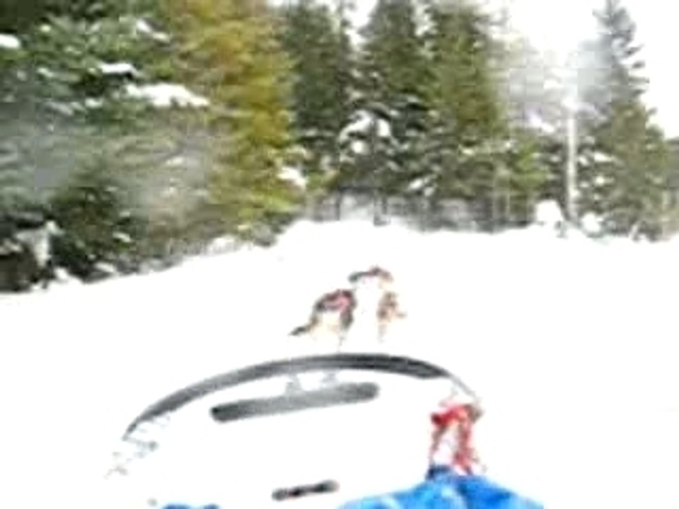 traineau à chiens 2