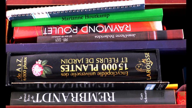 ©Le Livre poème THOMAS André photos&photos-peintures Martine ANCIAUX Monde Tv©