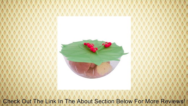 Charles Viancin 9 Medium Winterberry Lid 5302 Review