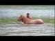 DRDA : En Polynésie - Débourrage d'un cheval sauvage