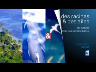 DRDA : Les Antilles - Bande-annonce