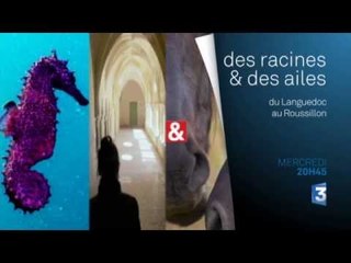 DRDA : Du Languedoc au Roussillon - Bande-annonce