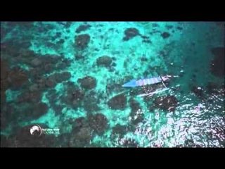 Philippe et les coraux - Faut Pas Rêver (extrait)