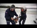 Pêche sur le lac gelé d'Hornavan - Faut Pas Rêver en Laponie (extrait)