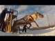 Courses de rennes : l'orgueil des Samis - Faut Pas Rêver en Laponie (extrait 1)