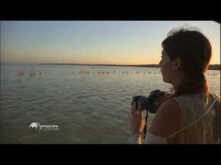 La réserve de Celestun - Faut Pas Rêver au Yucatan (extrait)