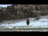 Aigles chasseurs de l'Altaï - Faut Pas Rêver en Mongolie (extrait)