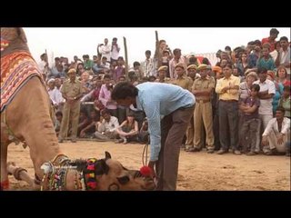 Concours du plus beau chameau (extrait plateau) - Vendredi 27 février  2015