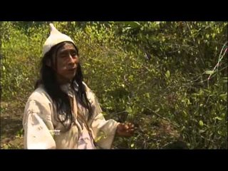 Teyuna, la cité perdue - Faut Pas Rêver en Colombie (extrait 2)