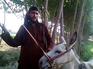 Funny-clip20132014-pushto-very-funny