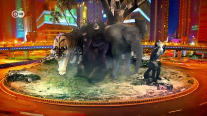 Allianz gegen die Tiermafia | Global Ideas