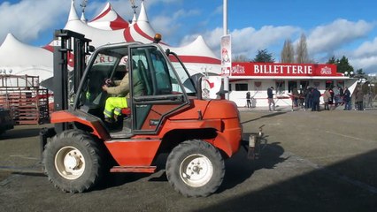 Arras : l'arrivée du cirque Arlette-Gruss