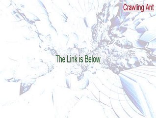 Crawling Ant Download (Crawling Antcrawling ants 2015)