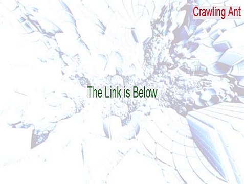 Crawling Ant Download (Crawling Antcrawling ants 2015)