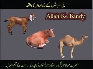 Rizq Mein Barkaat Ka Ajeeb o Greeb Amal