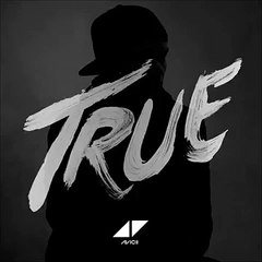 Avicii - Hey Brother