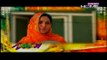 Googly Mohalla Worldcup Special Episode 11 on Ptv Home in High Quality 3rd March 2015 Full Episode